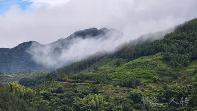 皖浙摩旅二人转——松阳杨家堂篇（下）