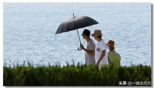 在大连陵水湾打造出的“海纳百川”国际雕塑景观带