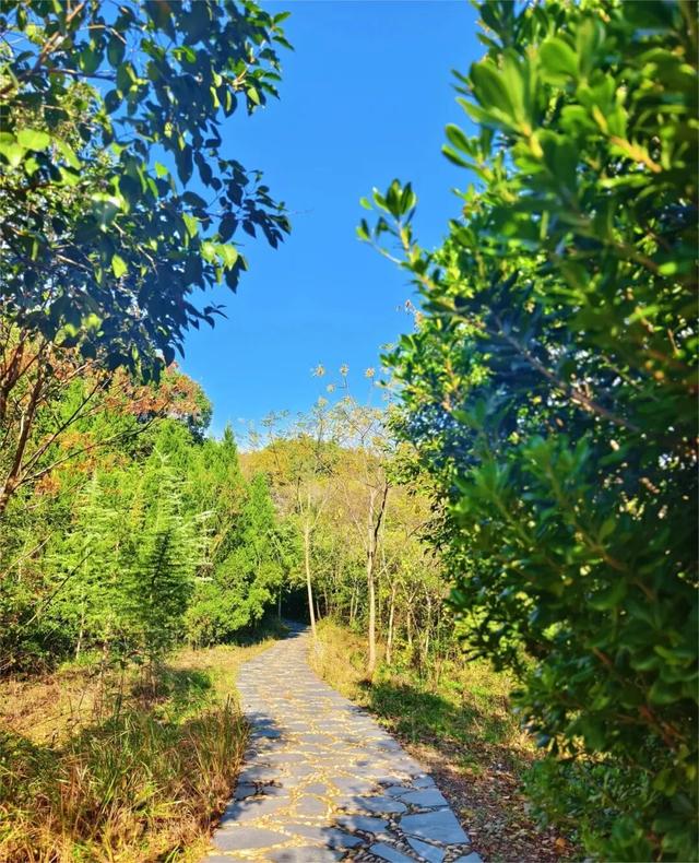 国际山岳日|今天适合爬山~