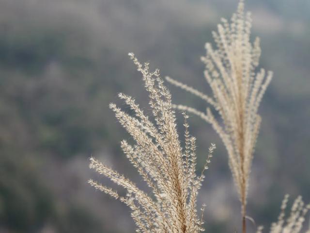 深秋石泉漫游记