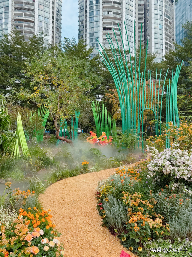 这个周末不如带娃去逛逛这里的花花