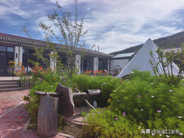 在尚义山野间邂逅一场清凉之旅