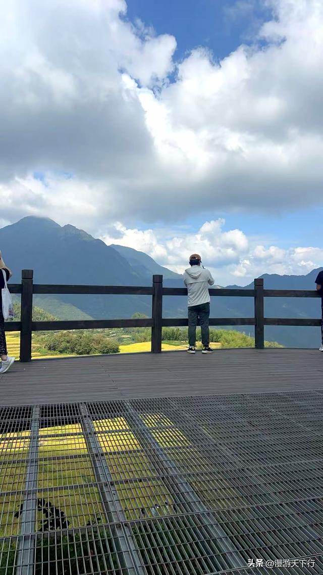 浙江云和梯田稻秧金黄，美景带来惊险一幕，无人机失而复得