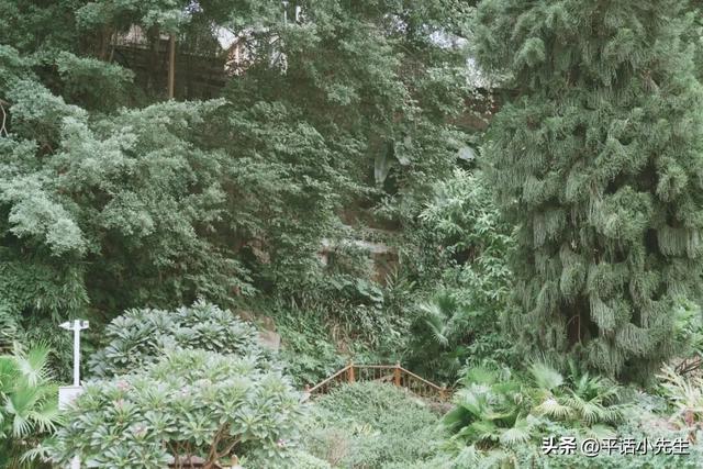 福建第一门户，应识古镇旧模样丨暴走福州