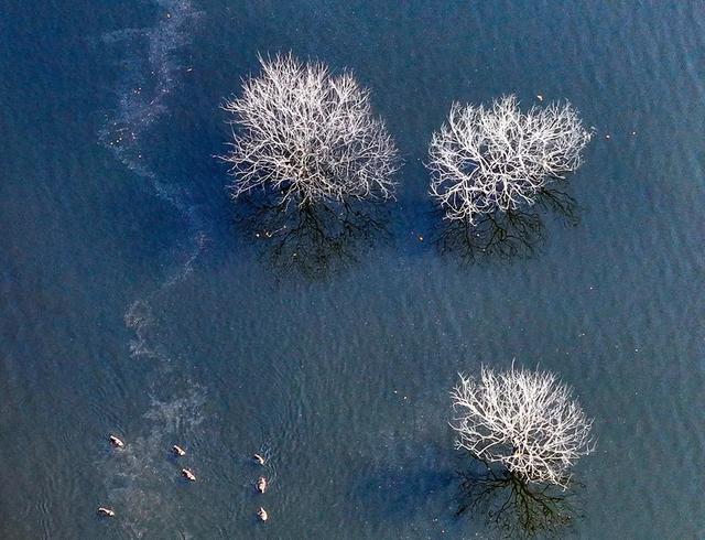 一键收藏！明光南部2025年秋景大赏