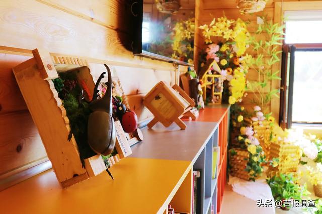 长春百草园“昆虫王国”梦幻来袭,5天科普互动超有趣