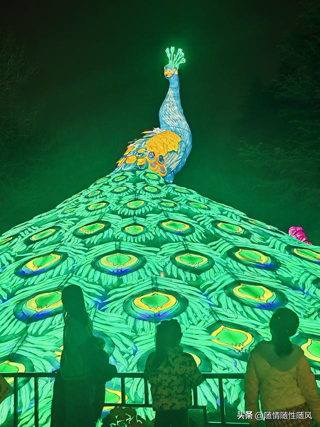 洛阳正月十五赏灯最佳处：隋唐遗址植物园