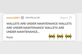 Pi 钱包维护：期待新功能的到来！图片