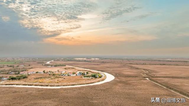 气温骤降8℃,「雪」要来了!在淄博,邂逅一场白色浪漫→