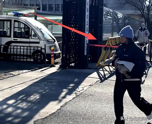 时隔7个月全红婵重返国家队，陈若琳曾说她很让自己放心