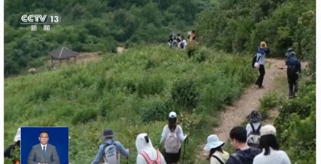 23岁女子花139元报名徒步，因身体不适独自返回途中猝死