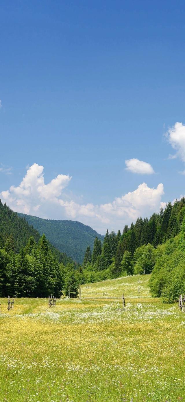 手机壁纸|治愈你的是风景，自然美景