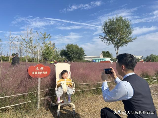 不出郑州，也有浪漫风景！ 郑东新区自动驾驶一号线邀您与粉黛子拥抱秋天
