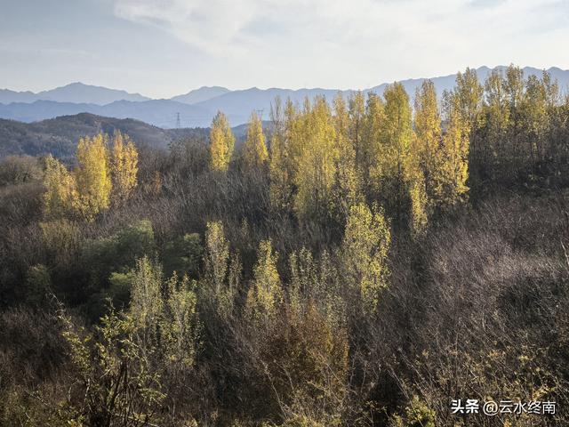 轻松开车看山景：有蓝田这条最美“山景路”，就没环山路什么事了