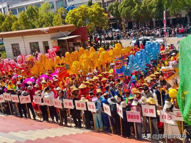 “马”力全开！这个春节晋宁年味浓、活动多、人气足、消费旺、游客满意度高！