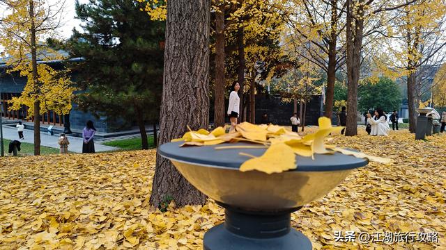 西安曲江富人区墓景房，地下埋着秦二世，地上是银杏林和博物馆