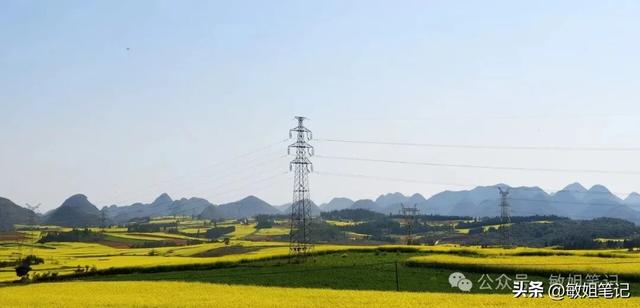 【滇东南游记·二】罗平:在金色花海里追一场春天的光影