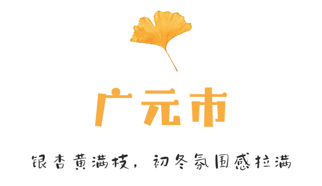 【美丽四川】一年一度朋友圈银杏比美时刻又来了！