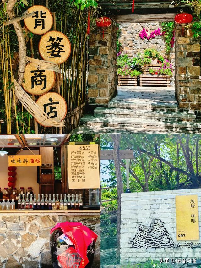 坡峰岭×药师寺:山林与禅意的完美周末