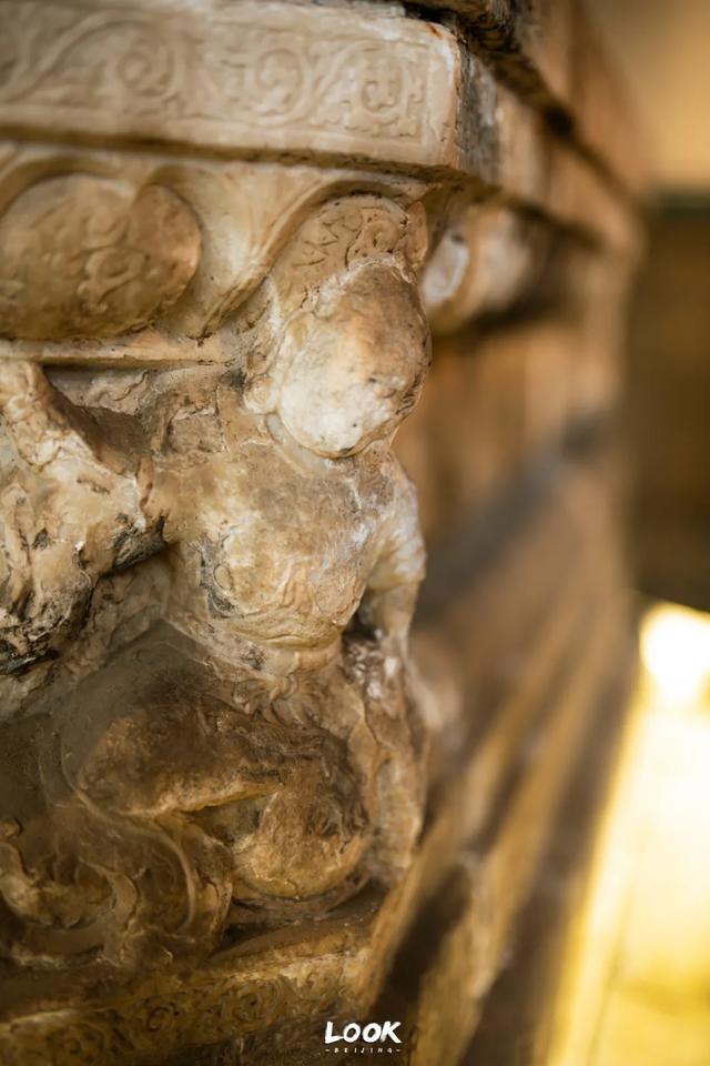 北京最新秋日打卡地 · 再看要等明年