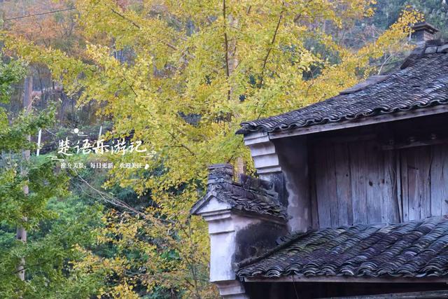 浙江宁波的桃源秘境，古枫香扼守村口成迎客盛景，玻璃栈道更好玩