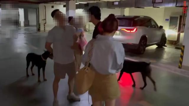 丹阳车库杜宾犬后续，警方正在排查，疑似狗主人发声称对方饮酒