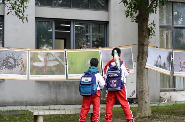 旧书换绿植、游戏赢奖励、听生态课堂……合新闻正在招募！沉浸式公益体验来这里→