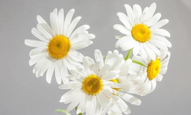 心理学：这就是“中年男女暧昧”的本质原因