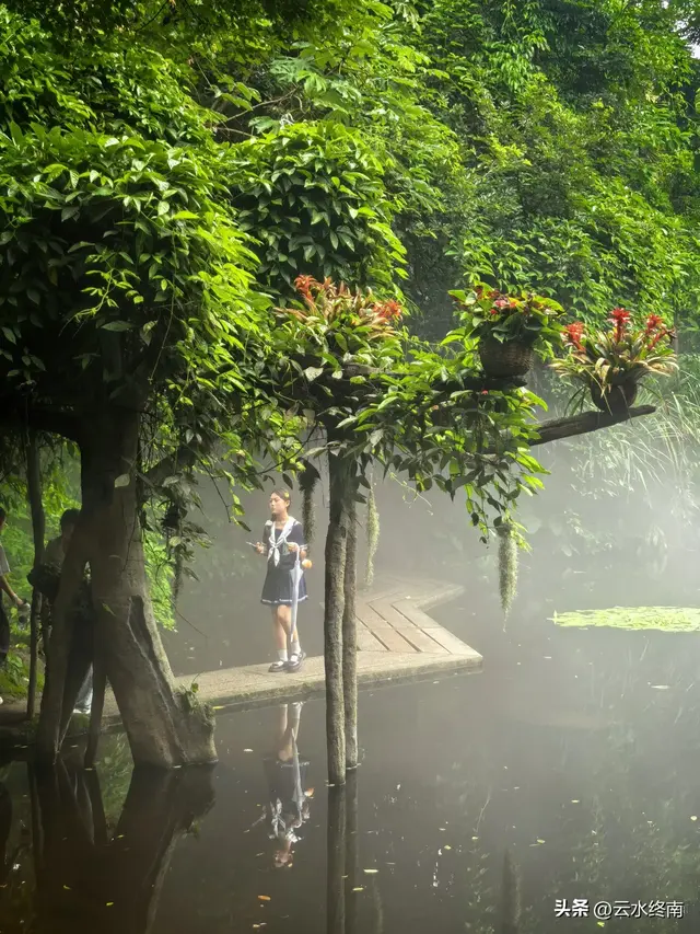 一个五A级植物园，到底藏着哪些值得看的地方，这是最实在的攻略