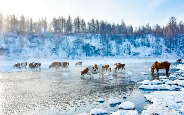 解锁“童话阿尔山”正确打开方式,教你玩转北疆冰雪季