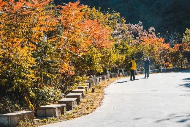 首发动态 | 水长城，藏着北京最美的秋天