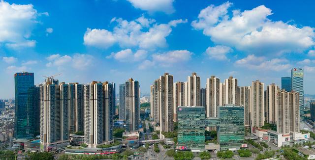 龙峰塔下，聆听龙华三十余载步履与回响