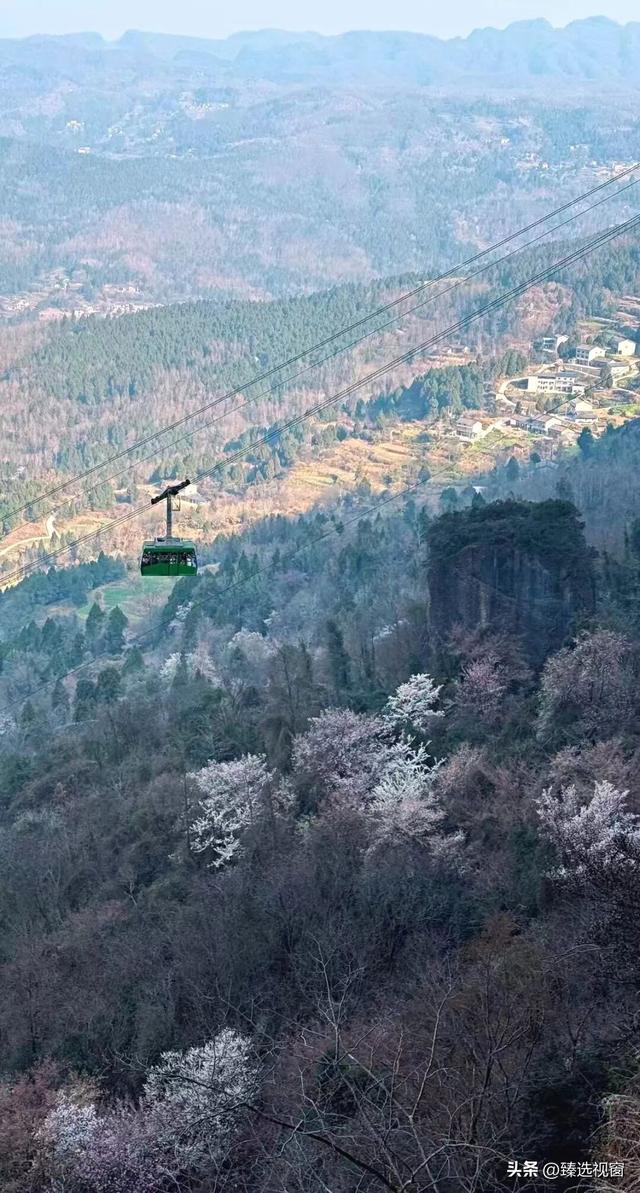 开工倦了？来剑阁，把生活调回松弛频道~