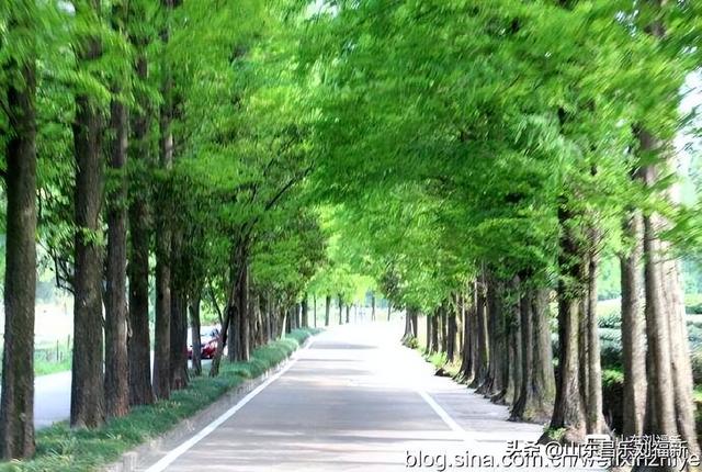 杭州324路公交车沿途风光（皖浙沪旅游122）