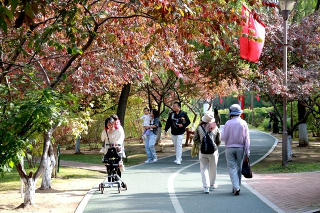【组图】国庆赏秋正当时 佳木斯双拥公园“花式”迎游人