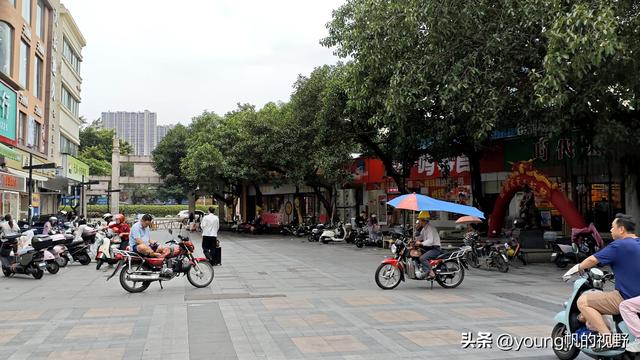 广州南沙金洲，一个充满市井生活气息的地方……