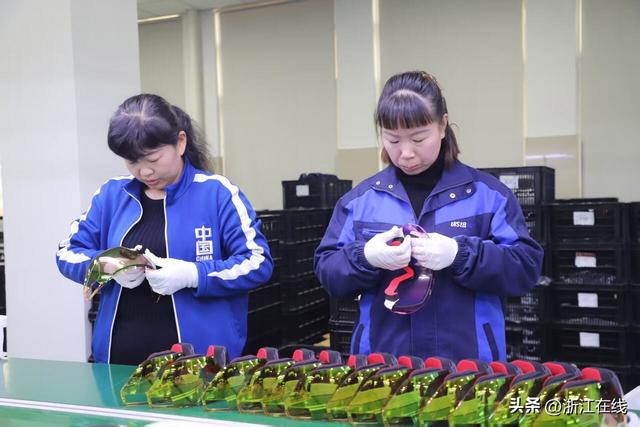 冰雪游产品订单同比增156%，省内客源占66%——从运动到产业，浙江“热雪”正沸腾