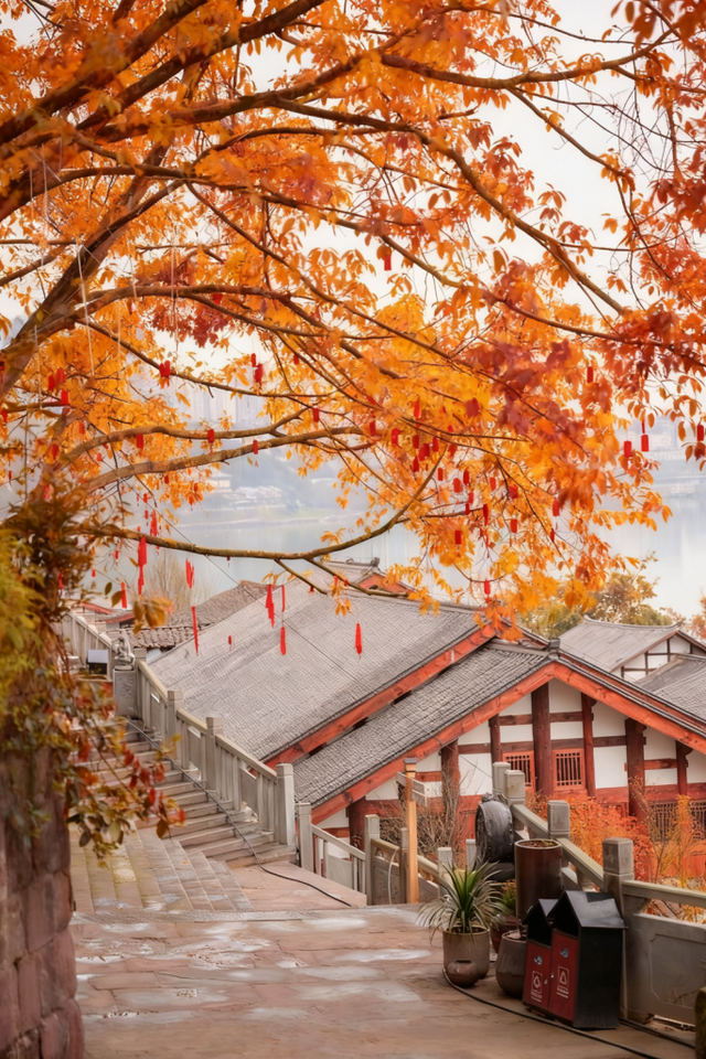 AI一键换秋模式开启，这样的武胜你爱了吗～