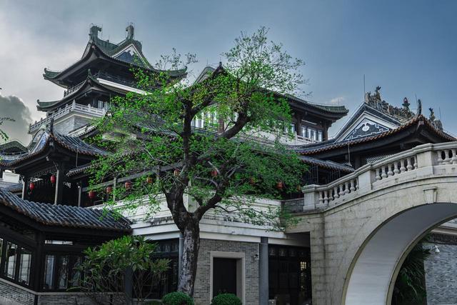 0元游广州！广州这8个景点适合一日游，免费又好玩，你去过几个？