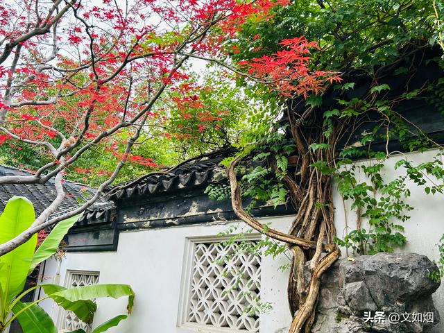 散文随笔：南京，南京