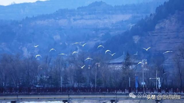 初冬汭河，摇曳一岸诗意时光