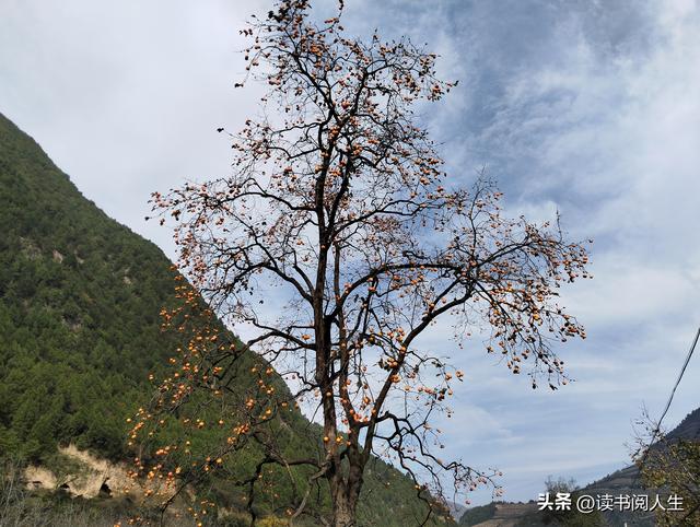 一次与时光对话的行走——天水作家赴吴砦古城文学采风活动侧记