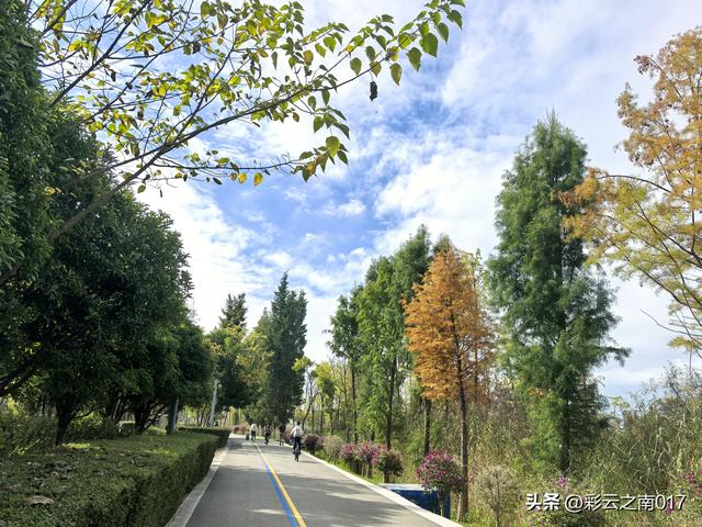 从呈贡大学城骑行到福保半岛，往返耗时6小时，骑行 60余公里