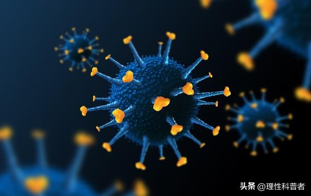 病毒，到底是生物还是非生物？本文为你解读