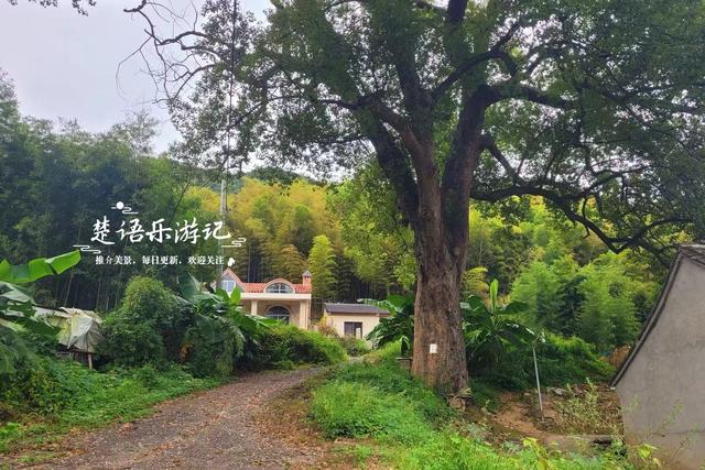 好奇怪！宁波奉化这个山村竟以“和尚”命名，村内有少数民族风情