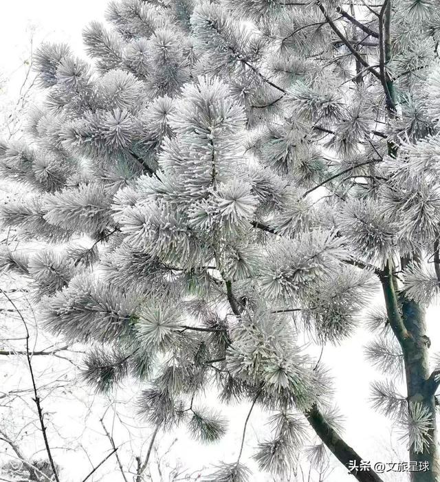 地平线下的古村落——地坑院：暖冬出游别样精彩