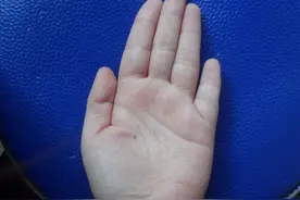 俗话说“小指短，丢饭碗”，小手指短到底意味着什么？来听听图片