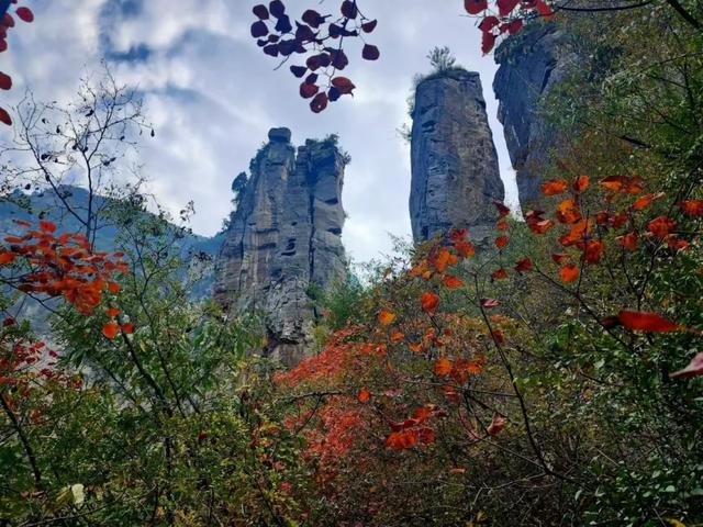 巩义青龙山的秋天美成壁纸，随手一拍都是大片！