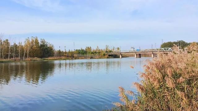 寻美薛城丨一眼沉醉！蟠龙河冬日美景，是一幅静谧迷人的水墨画卷！