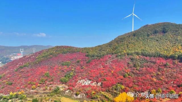 赏秋正当时!镇平老庄镇:红叶漫山引客来 服务暖心助发展